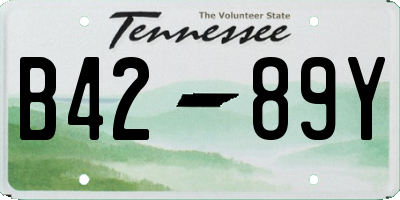 TN license plate B4289Y