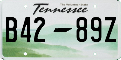 TN license plate B4289Z