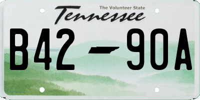 TN license plate B4290A
