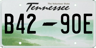 TN license plate B4290E