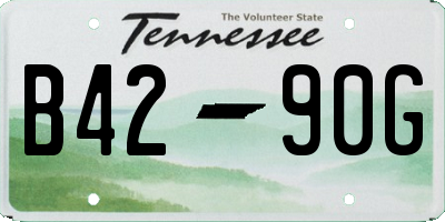 TN license plate B4290G
