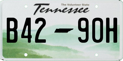 TN license plate B4290H