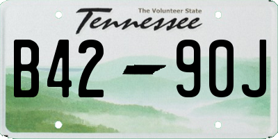 TN license plate B4290J