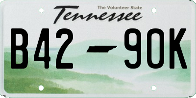 TN license plate B4290K