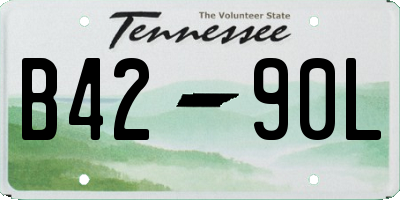 TN license plate B4290L