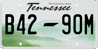 TN license plate B4290M