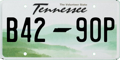 TN license plate B4290P