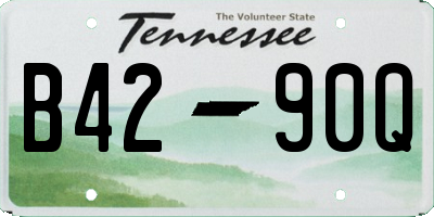 TN license plate B4290Q