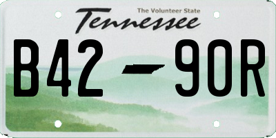 TN license plate B4290R