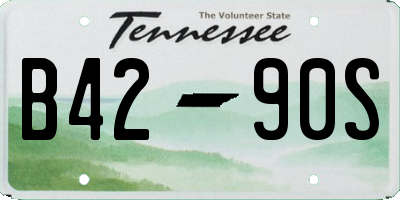 TN license plate B4290S