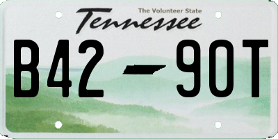 TN license plate B4290T