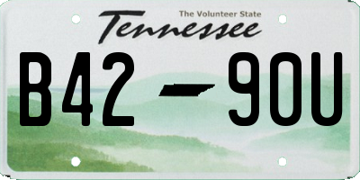 TN license plate B4290U