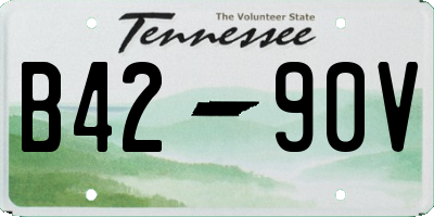TN license plate B4290V