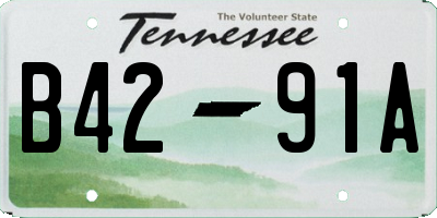 TN license plate B4291A