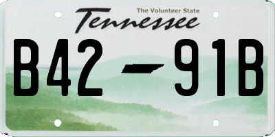 TN license plate B4291B
