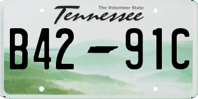 TN license plate B4291C