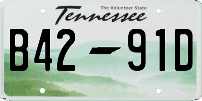 TN license plate B4291D