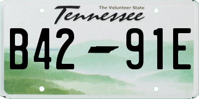 TN license plate B4291E