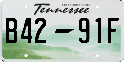 TN license plate B4291F
