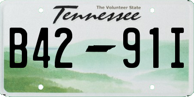 TN license plate B4291I