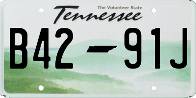 TN license plate B4291J