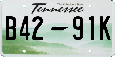 TN license plate B4291K