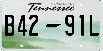 TN license plate B4291L