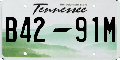 TN license plate B4291M