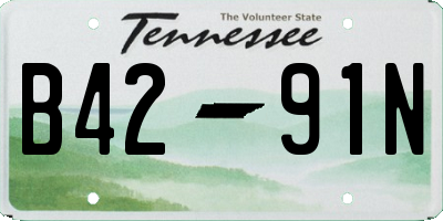TN license plate B4291N