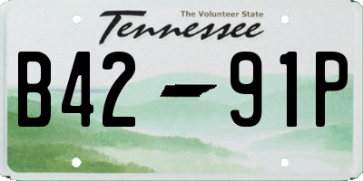 TN license plate B4291P