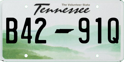TN license plate B4291Q