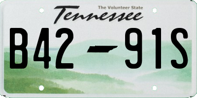 TN license plate B4291S