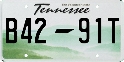 TN license plate B4291T