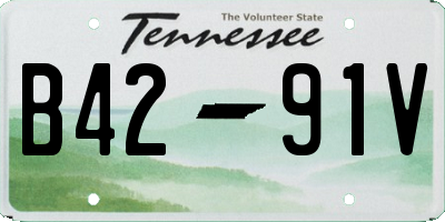 TN license plate B4291V