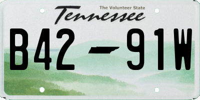 TN license plate B4291W