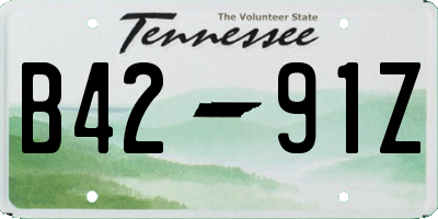 TN license plate B4291Z