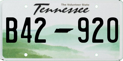 TN license plate B4292O