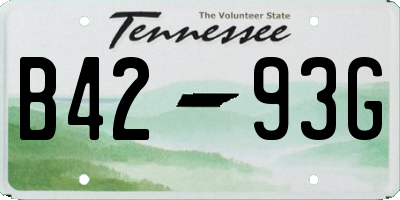 TN license plate B4293G