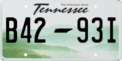 TN license plate B4293I
