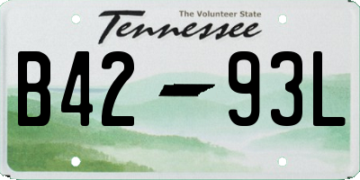 TN license plate B4293L