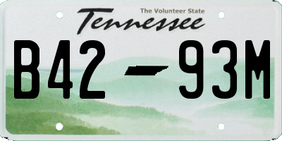 TN license plate B4293M