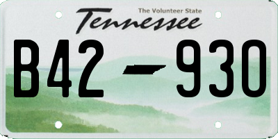 TN license plate B4293O