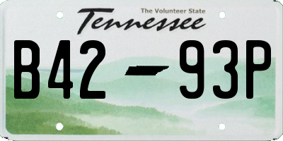 TN license plate B4293P