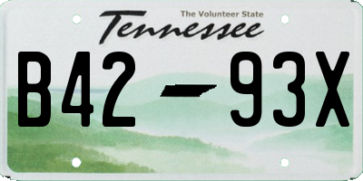 TN license plate B4293X