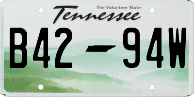TN license plate B4294W