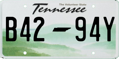 TN license plate B4294Y