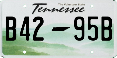 TN license plate B4295B