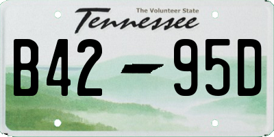 TN license plate B4295D