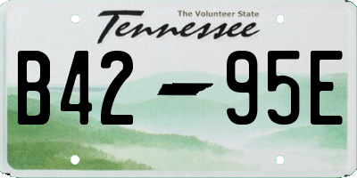 TN license plate B4295E