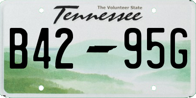TN license plate B4295G